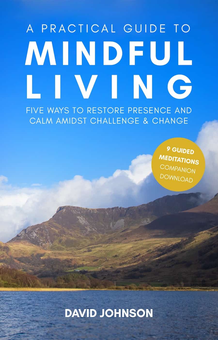 Cover of A Practical Guide to Mindful Living