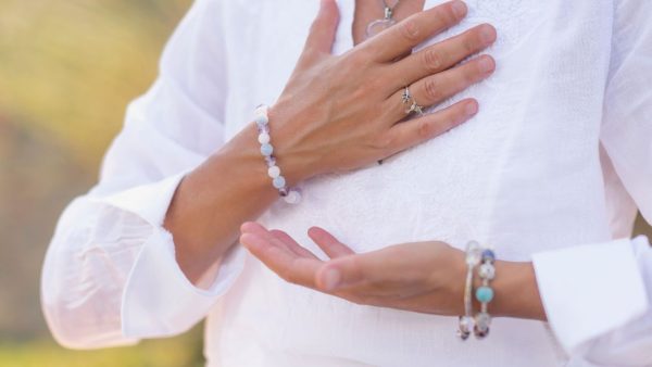 The Buddha’s Path Study Programme – Module 6: Foundations of Buddhist Meditation III: The Four Immeasurables