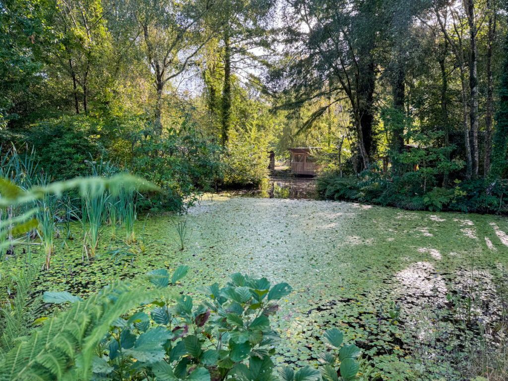 View of Pond and the grounds at CAT