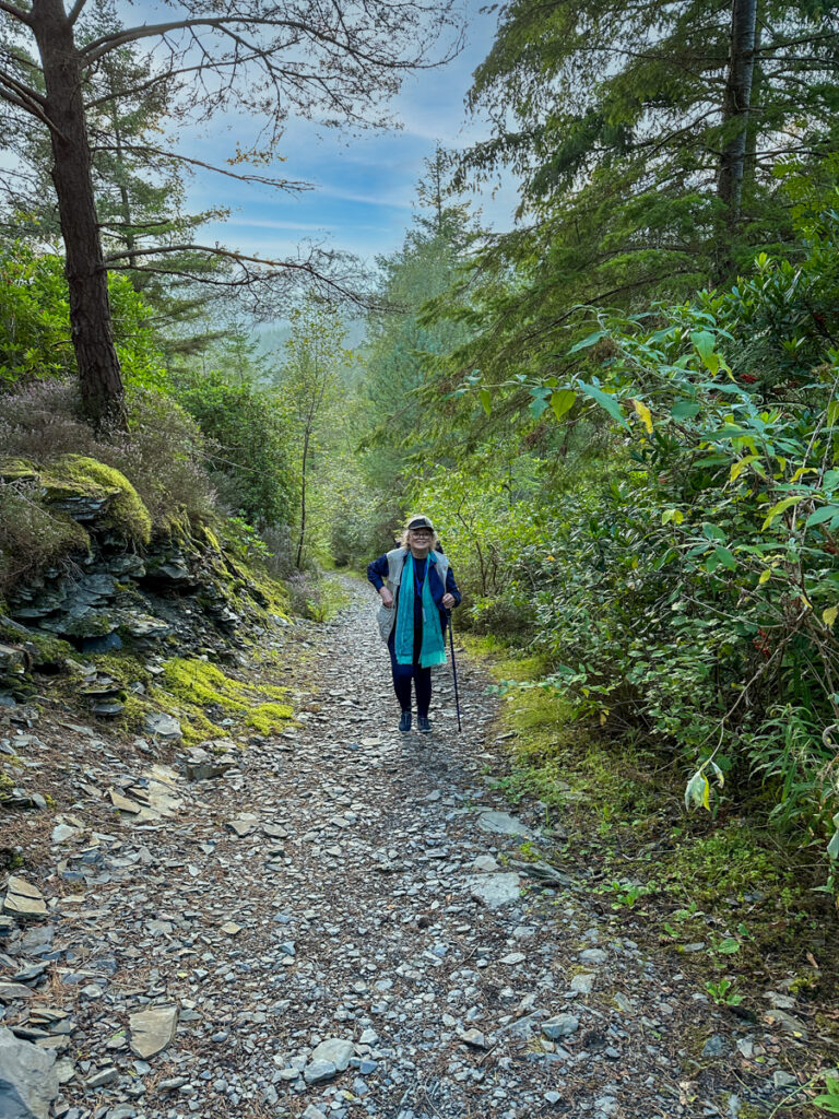 Retreat at the Centre for Alternative Technology