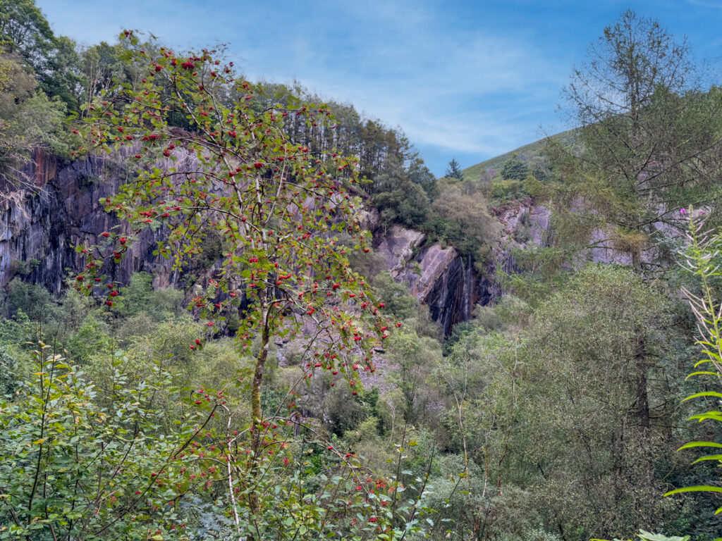 The grounds at CAT