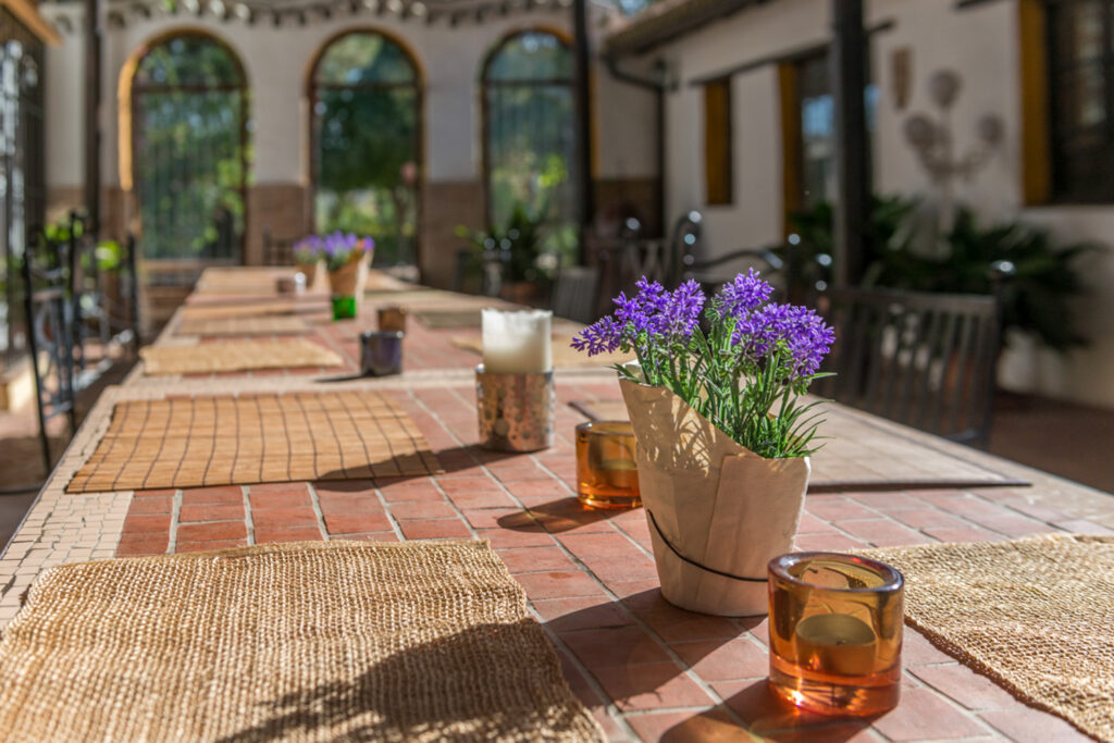 The dining terrace laid for a meal