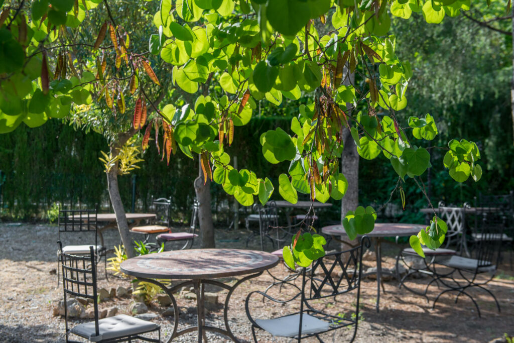 Shaded tables under the trees