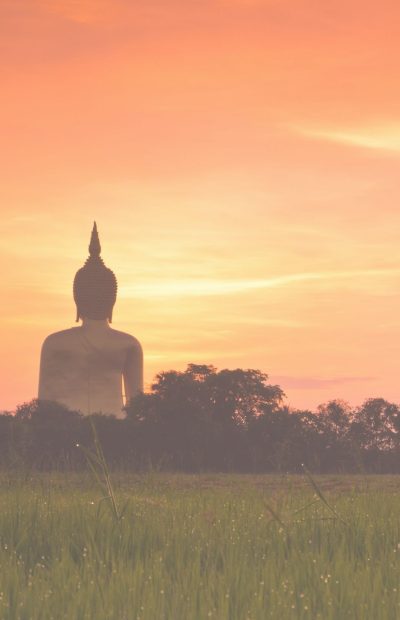 Insight Timer Event Story